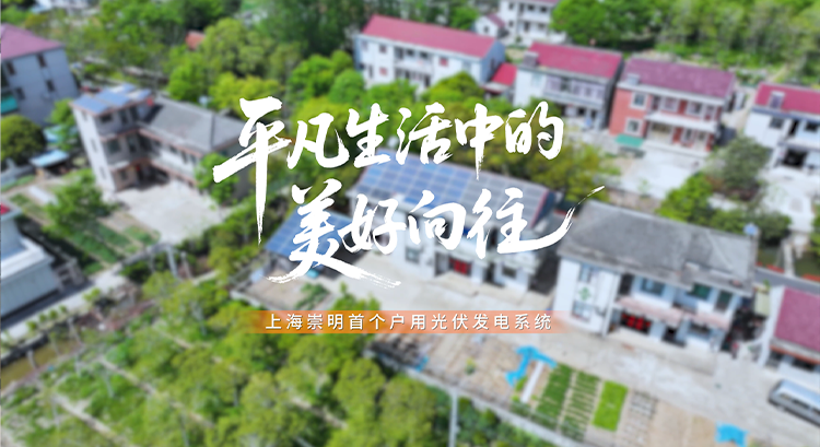 从用户到经销商，365英国上市官网入口携手上海崇明户用光伏第一人共赴美好向往